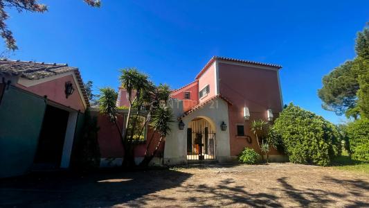 Salvaterra De Magos, 산타렘 2125-202, 포르투갈