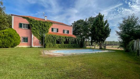 Salvaterra De Magos, 산타렘 2125-202, 포르투갈