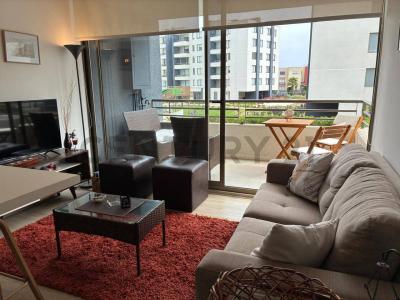 Avenida Paseo Punta Puyai, Petorca, Valparaíso 00001, Chile