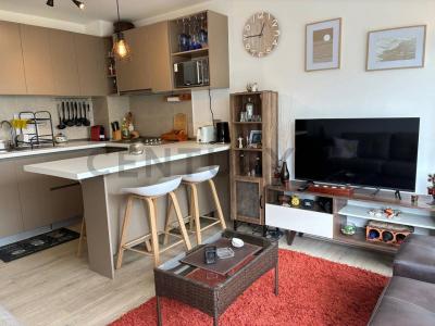 Avenida Paseo Punta Puyai, Petorca, Valparaíso 00001, Chile