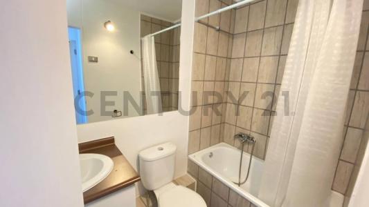 Cautín, Región De La Araucanía 00001, Chile