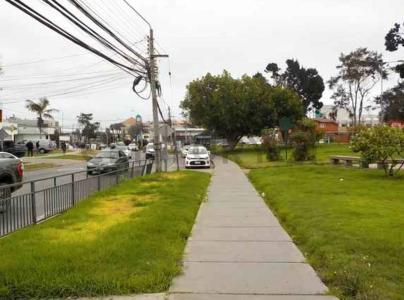 Elqui, Coquimbo 00001, Cile