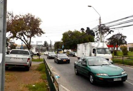 Elqui, Coquimbo 00001, Cile