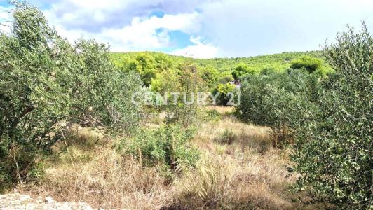 Tribunj, Tribunj, Šibensko-kninska Županija, Croacia