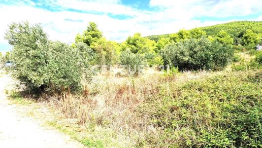 Tribunj, Tribunj, Šibensko-kninska Županija, Croacia