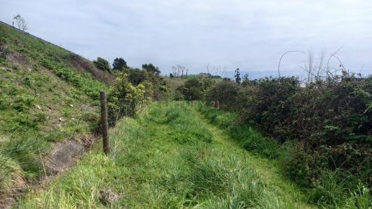 Lagoa, Ilha De São Miguel 9560-000, Portugal