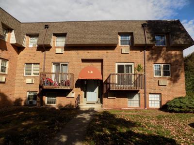 441 Clark Avenue APT 5, Bristol, Connecticut 06010