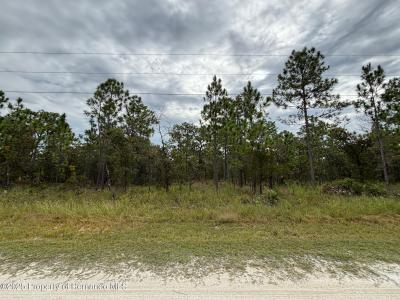 Lot 2 Jenifer Lane, Weeki Wachee, 佛罗里达州 34614, 美国
