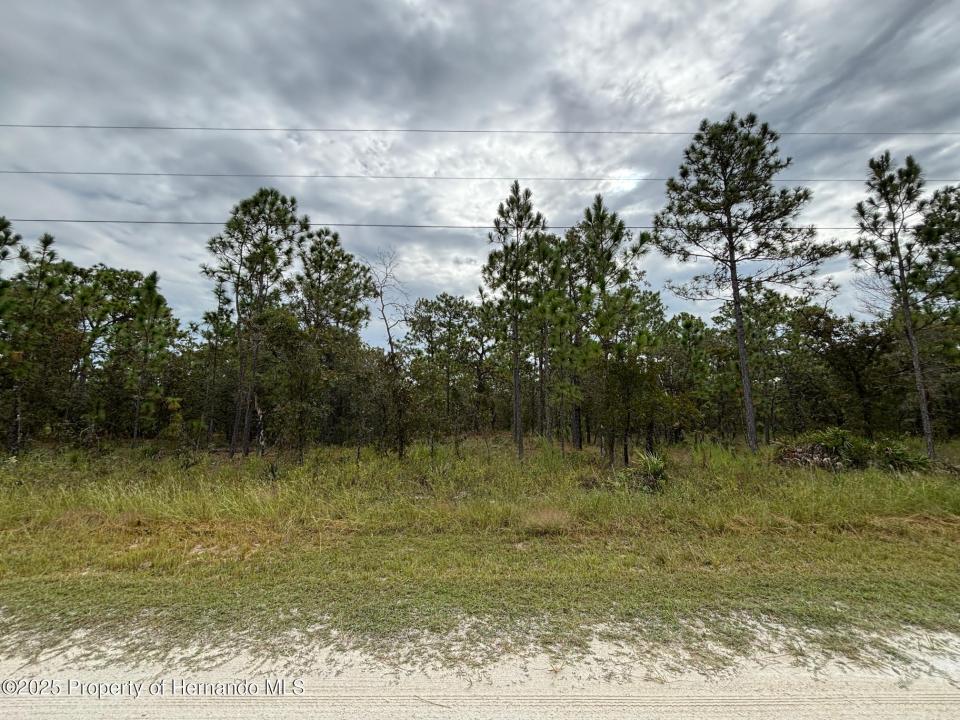 Lot 2 Jenifer Lane, Weeki Wachee, 佛罗里达州 34614, 美国