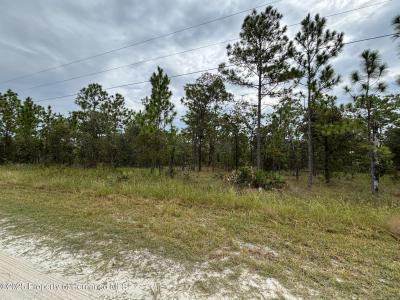 Lot 2 Jenifer Lane, Weeki Wachee, 佛罗里达州 34614, 美国