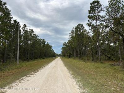 Lot 2 Jenifer Lane, Weeki Wachee, 佛罗里达州 34614, 美国