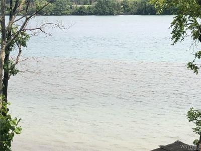 VL East River, Grand Island, NY 14072, USA