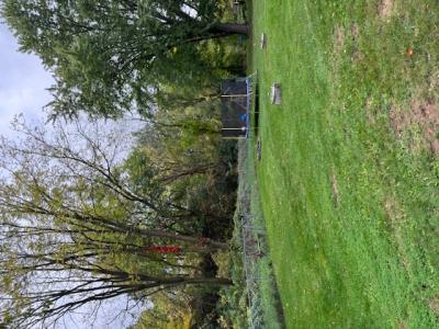 W1221 County Road V, Berlim, Wisconsin 54923, Estados Unidos