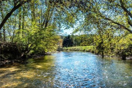 0 Ragweed Lane, Ellijay, Georgia 30536, USA