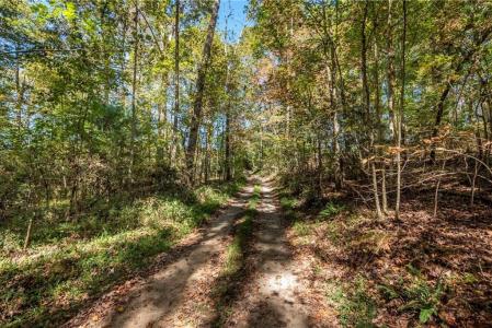 0 Ragweed Lane, Ellijay, Georgia 30536