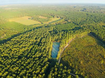 644 Ash-harrel Loop, Abbeville, Georgia 31001