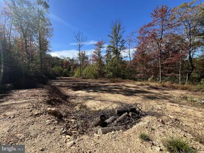 Lot 27 Chance Lane, Paw Paw, West Virginia 25434, Estados Unidos