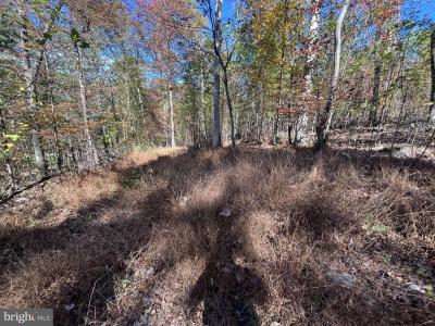 Lot 27 Chance Lane, Paw Paw, West Virginia 25434, Estados Unidos