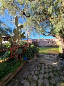 CDA DE MOCTEZUMA S/N,, Tizayuca, ولاية هيدالجو 43810, المكسيك