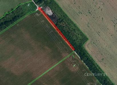 Hrušky, Břeclav 100 00, צ'כיה 