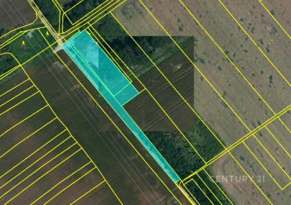 Hrušky, Břeclav 100 00, צ'כיה 