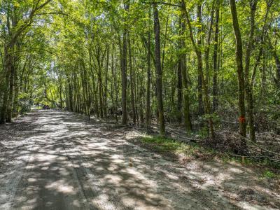 50 Still Shadow Drive, Beaufort, SC 29906, USA