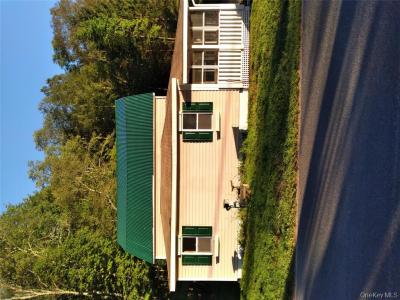 31 Willowemoc Road, Livingston Manor, New York 12758, Stati Uniti