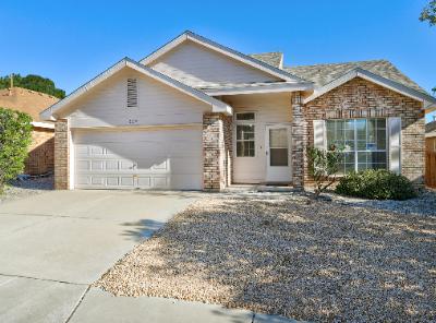 8319 Millstream Pl NW, Albuquerque, 新墨西哥州 87120, 美国