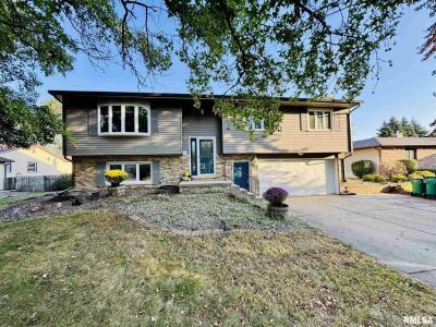 2049 W Losey Street, Galesburg, Illinois 61401, USA