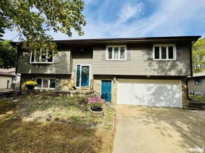 2049 W Losey Street, Galesburg, Illinois 61401, Stati Uniti