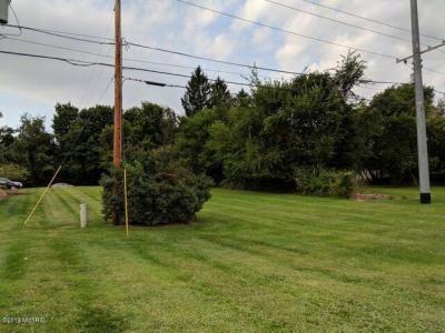 1025 E Front Street, Buchanan, Michigan 49107, Estados Unidos