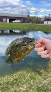 1254 E Federal Ave, Houghton Lake, Michigan 48629-9496, USA