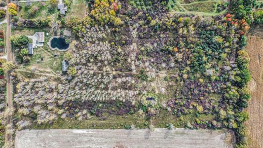 00 Farley, Almont, Michigan 48003, USA