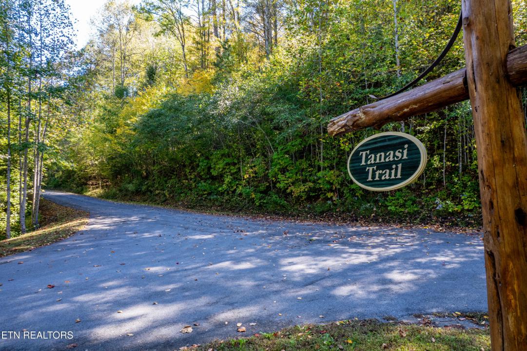 716 Tanasi Trail, Townsend, تينيسي 37882, الولايات المتحدة