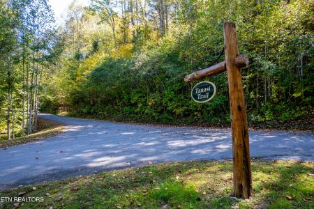 716 Tanasi Trail, Townsend, تينيسي 37882, الولايات المتحدة