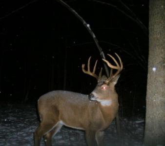 110 Acres County Road O, Atlanta Twp, Wisconsin 54819, USA