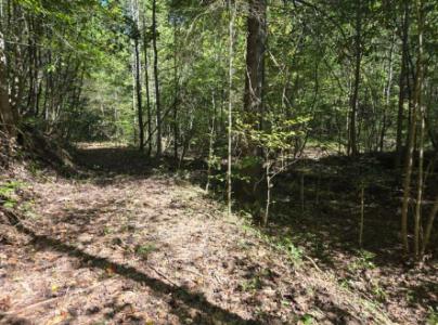 9999 CAbin Creek Road, London, Kentucky 40741, USA