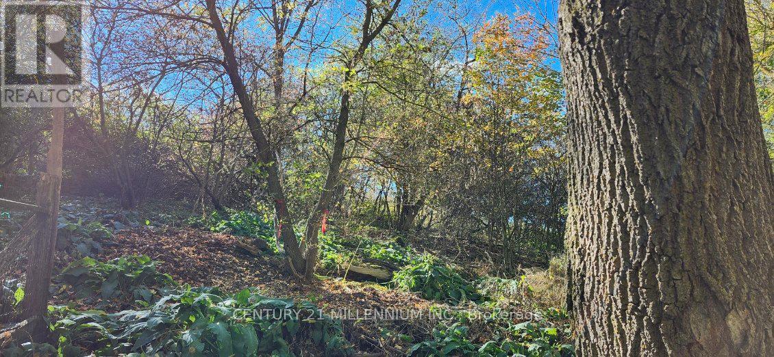 MILL STREET, Amaranth, オンタリオ L9W 3Z3, カナダ