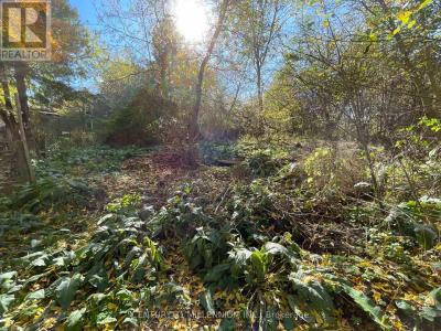 MILL STREET, Amaranth, Ontario L9W 3Z3, Kanada