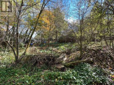 MILL STREET, Amaranth, Ontario L9W 3Z3, Kanada