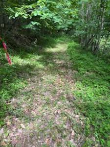 1085 OLD MINE ROAD, Frontenac, 安大略省 K7M 0H2, 加拿大