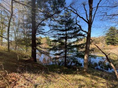 1085 OLD MINE ROAD, Frontenac, 安大略省 K7M 0H2, 加拿大