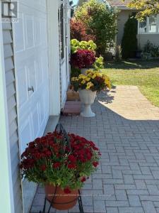 10 REYNOLDS PLACE WEST, Prince Edward County (wellington Ward), 安大略省 K0K 3L0, 加拿大