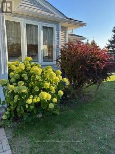 10 REYNOLDS PLACE WEST, Prince Edward County (wellington Ward), 安大略省 K0K 3L0, 加拿大