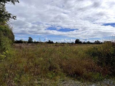 811 BLACK ROAD, Prince Edward County, Ontario K0K 1W0, Canada