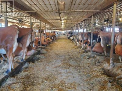 173 CARD ROAD, Stone Mills (stone Mills), Ontario K0K 3N0, Canada