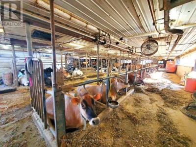 173 CARD ROAD, Stone Mills (stone Mills), Ontario K0K 3N0, Canada