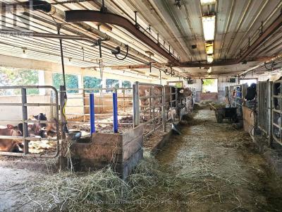 173 CARD ROAD, Stone Mills (stone Mills), Ontario K0K 3N0, Canada