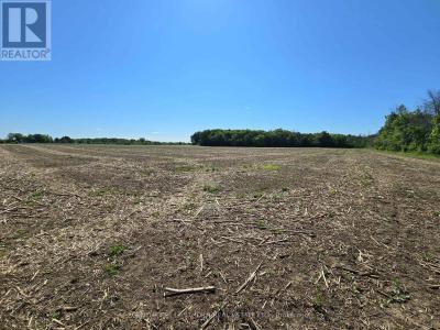 0 CARD ROAD, Stone Mills (stone Mills), 온타리오주 K0K 3N0, 캐나다