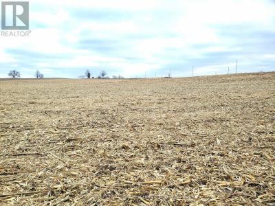 173 (A) CARD ROAD, Stone Mills (stone Mills), Ontario K0K 3N0, Canada